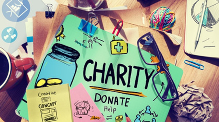 Umbraco Development of Charity Website