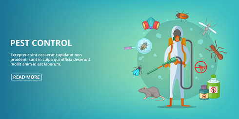 Pest Control Website Design