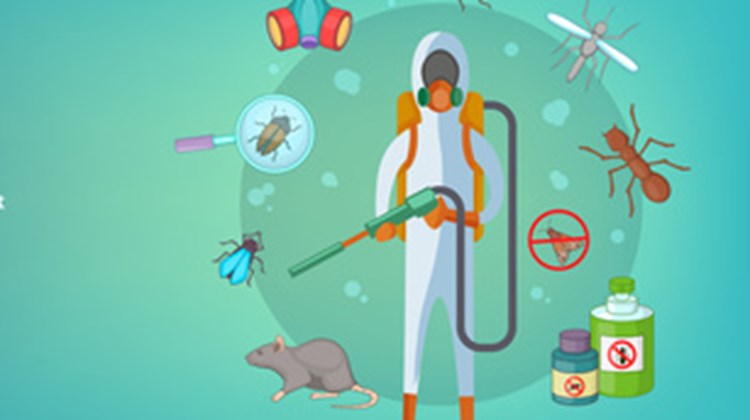 Pest Control Website Design from Scotland Umbraco Blog Pest Control Website Design