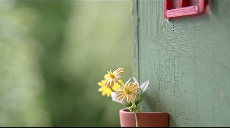 Web  Site design for a Shed company East Kilbride