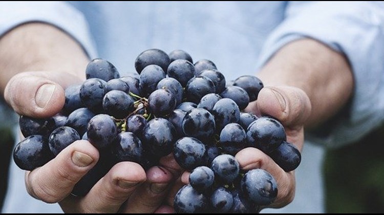 Website development for a fresh fruit and vegetables delivery company from Scotland Umbraco Blog Website development for a fresh fruit and vegetables delivery company