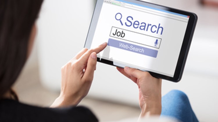 Umbraco Development of a Job Listing and Application website from Scotland Umbraco Blog Umbraco Development of a Job Listing and Application website